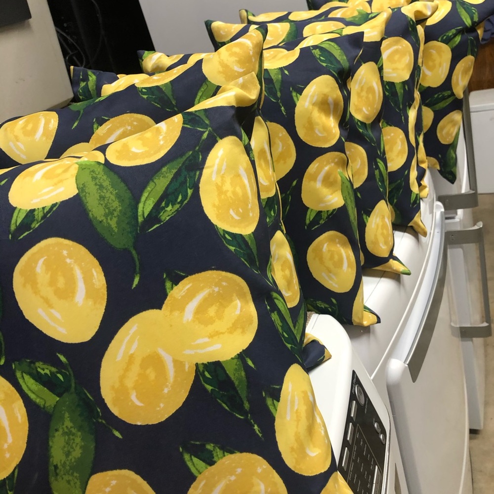 Pilow from Home Depot brand new nice lemon style